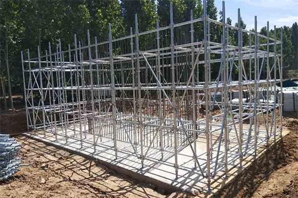 �ɹ�����